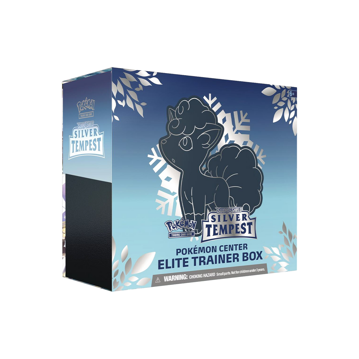 Silver Tempest Pokemon Center